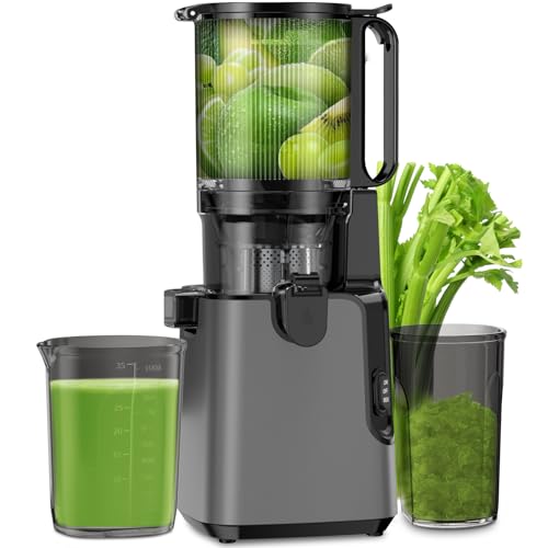 Best Juicer For Large Quantities Top Picks For Whole Fruits Veggies