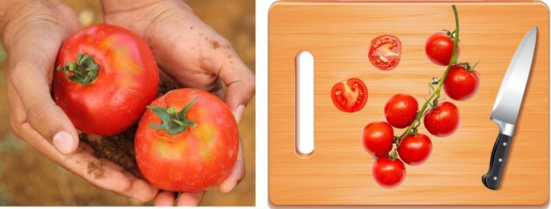 Washed tomatos