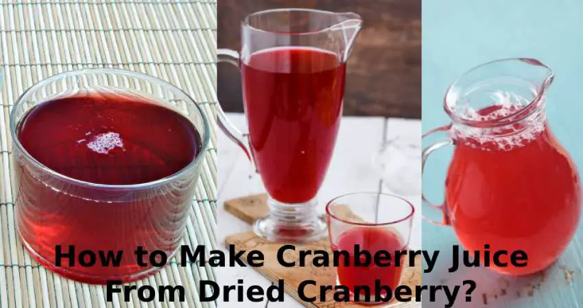 How to make Cranberry Juice from Dried Cranberry