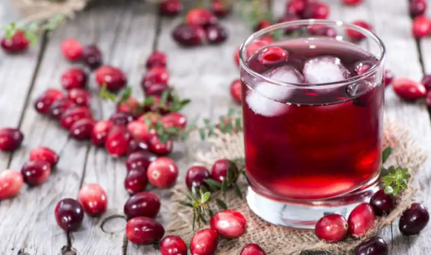 cranberry juice from fresh cranberry