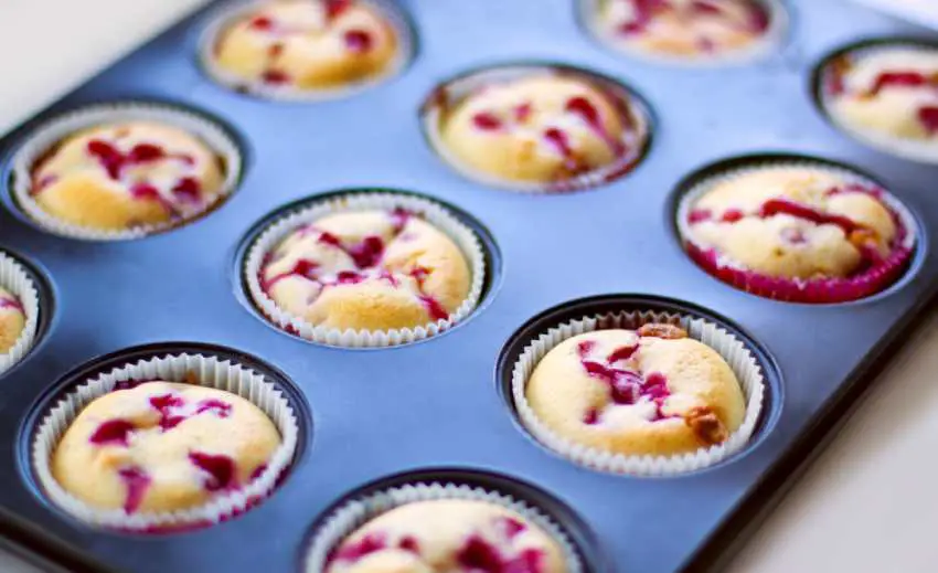 cranberry muffin