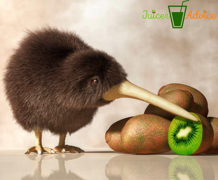 JuicerAdvices Get the best juicing advice to make juice by your own.