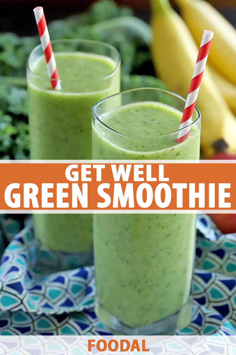 Are Smoothies Good When Sick?