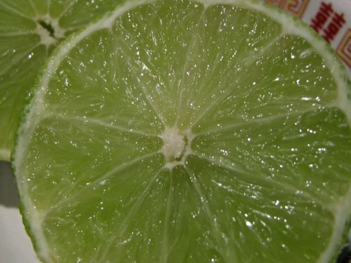 Does Lime Juice Kill Bacteria?
