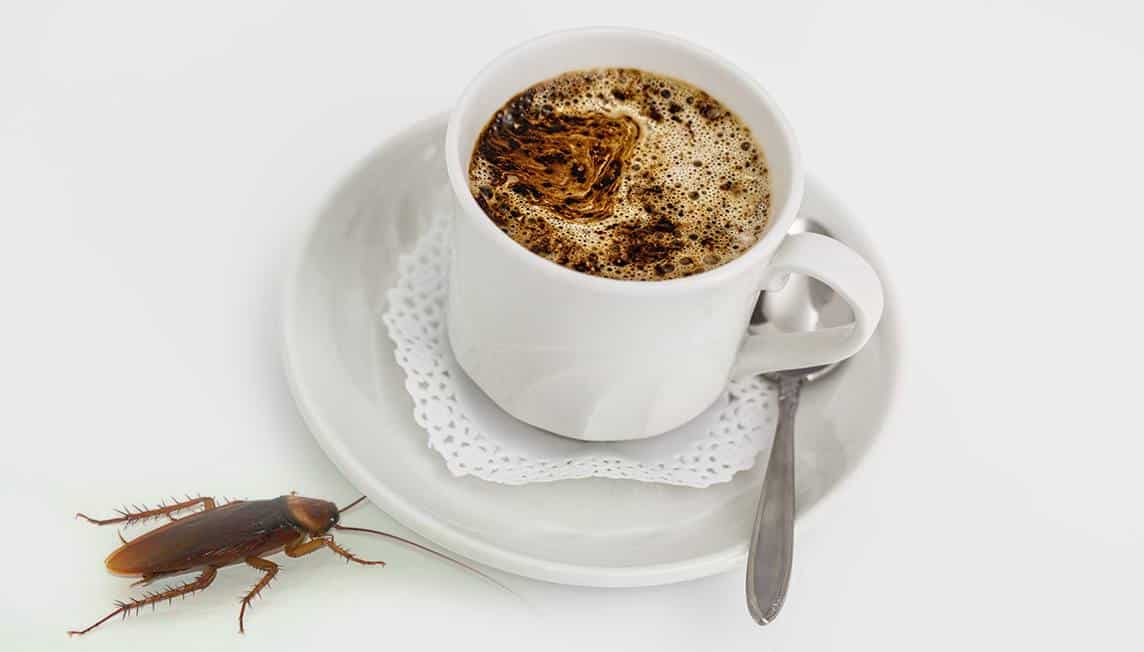 Does Tea Have Cockroaches In It? - JuicerAdvices