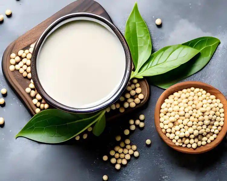 Soy Milk: A Plant-Based Protein Source