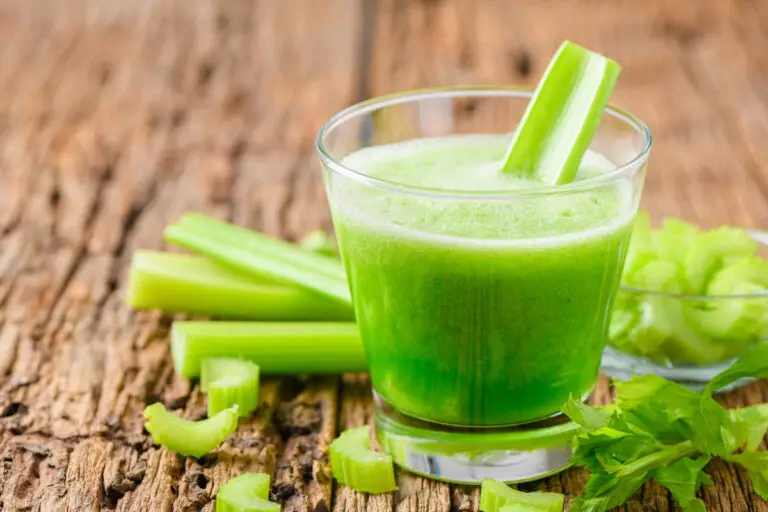 Can Dogs Have Celery Juice?