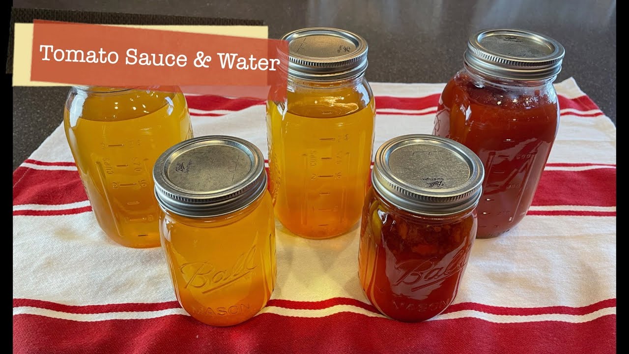 Can You Make Tomato Puree With A Champion Juicer?