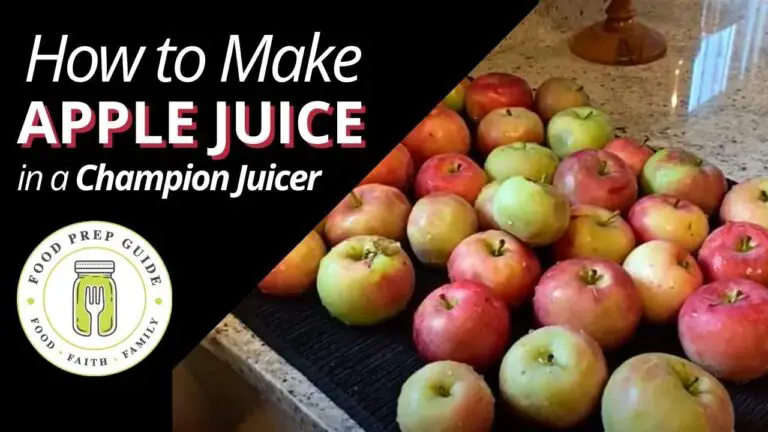 Can You Mkae Apple Sauce With A Champion 2000 Juicer?