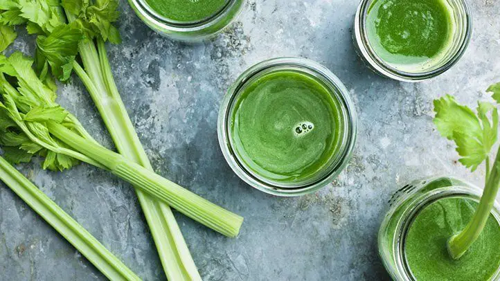 How Many Carbs In Celery Juice?