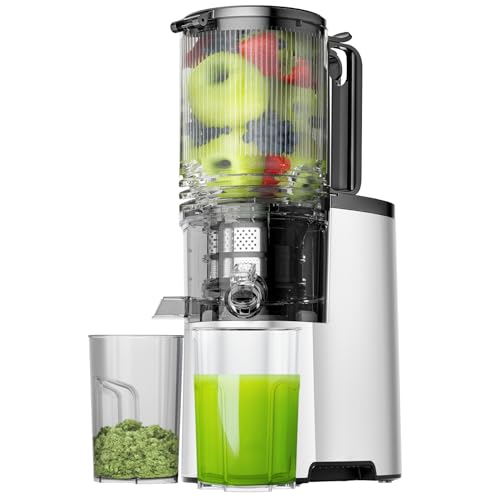 Best Cheap Cold Press Juicer