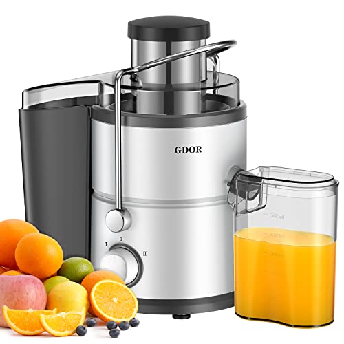 Best Juicer for Frozen Fruit