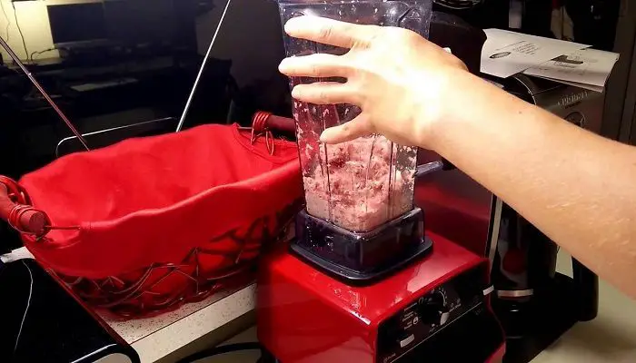 Can Vitamix Blender Grind Meat