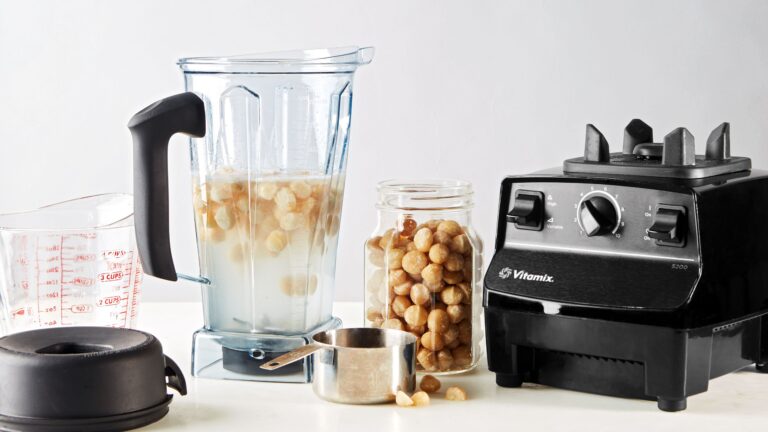 What Does a Vitamix Blender Do