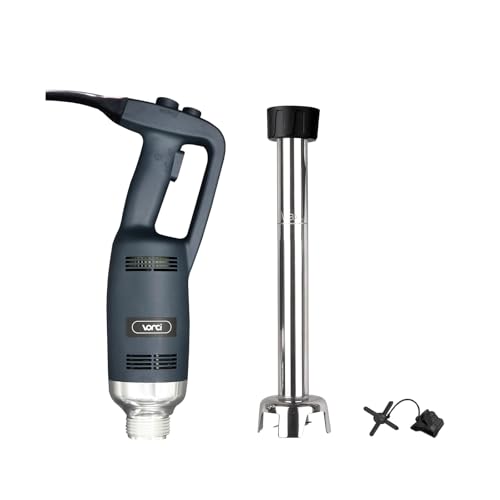 Best Commercial Hand Blender