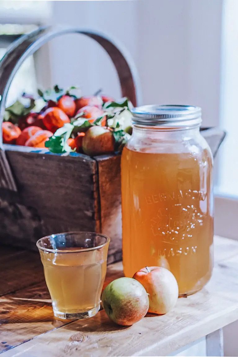 How to Make Apple Juice